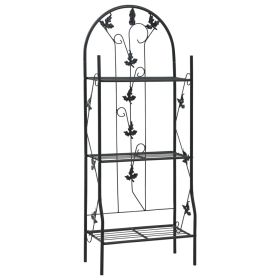 3-Layer Plant Rack Black 20.5"x11"x50.4" Iron