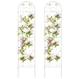 2 Pack 86.5 x 20 Inches Metal Garden Trellis for Climbing Plants