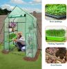 Walk In Greenhouse With Shelves,Walk-In Plant Green House With Durable Green PE Cover, 3 Tiers 6 Shelves Stands with Ground Pegs & Ropes for Stability