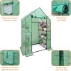 Walk In Greenhouse With Shelves,Walk-In Plant Green House With Durable Green PE Cover, 3 Tiers 6 Shelves Stands with Ground Pegs & Ropes for Stability